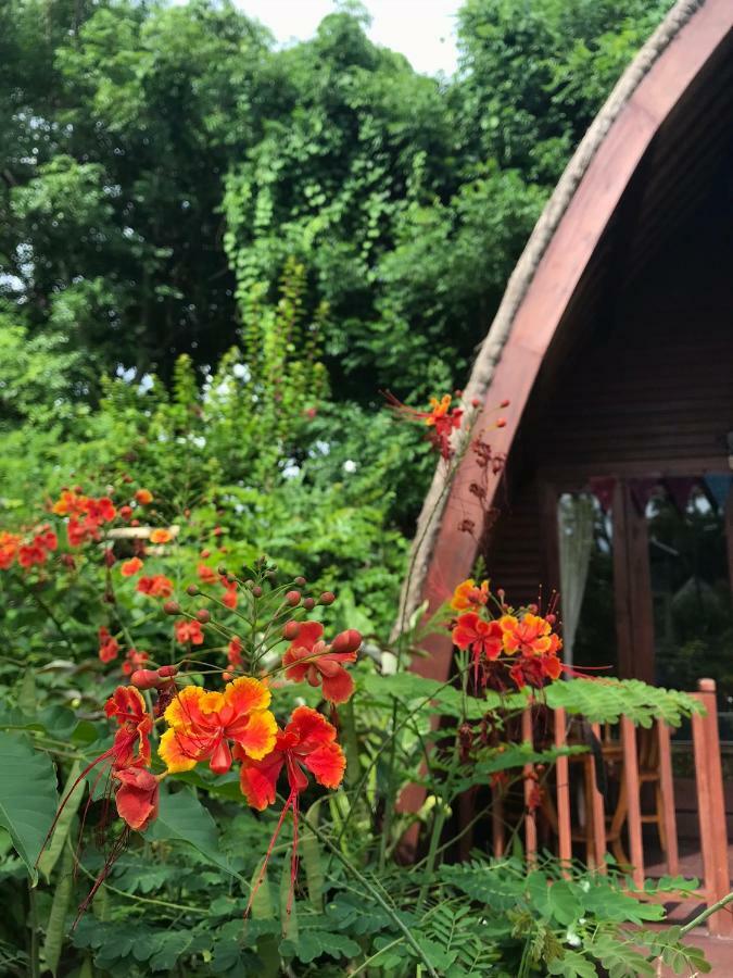 Meno Madia Bungalows Gili Meno Ngoại thất bức ảnh