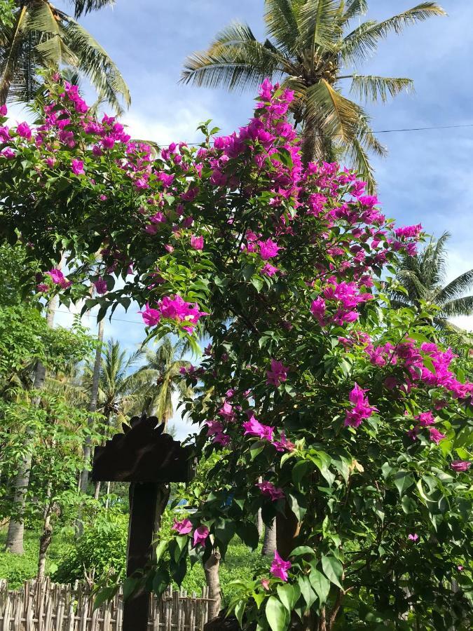 Meno Madia Bungalows Gili Meno Ngoại thất bức ảnh