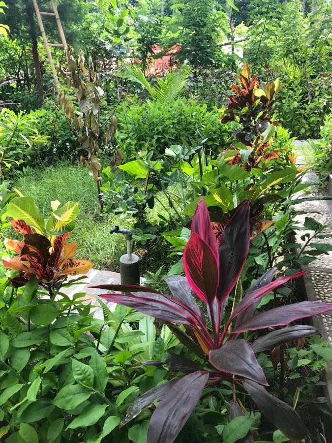 Meno Madia Bungalows Gili Meno Ngoại thất bức ảnh