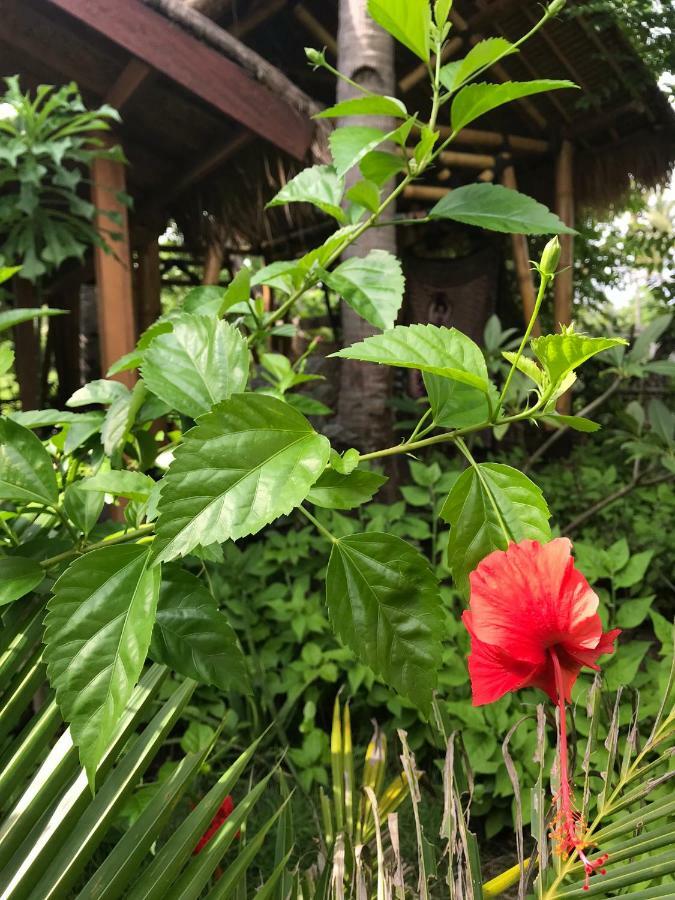 Meno Madia Bungalows Gili Meno Ngoại thất bức ảnh